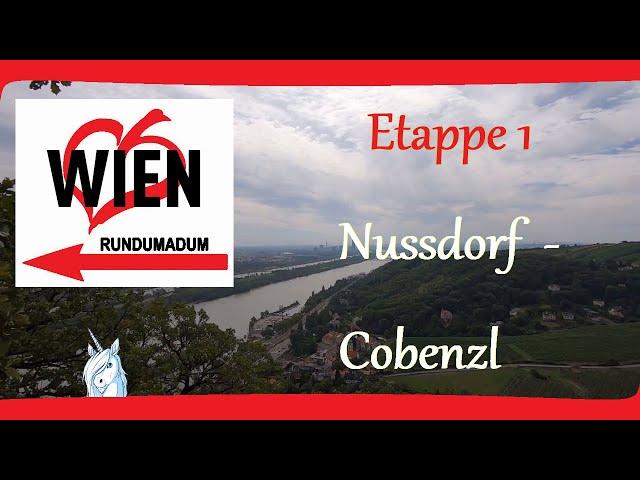 Wiener rundumadum-Wanderweg - Etappe 1: Nussdorf - Cobenzl - Wandern in Wien