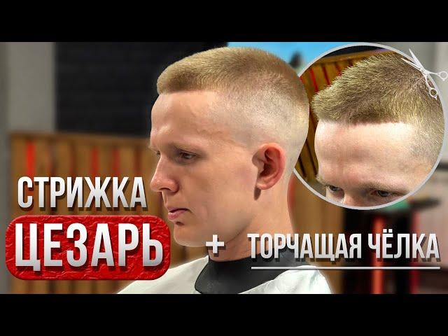 Мужская стрижка | Стрижка Цезарь | Caesar | Barber | Барбер | Фейд | Fade | Мужские стрижки 2024 |