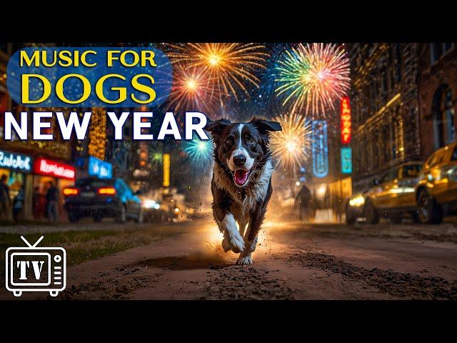 Dog TV: New Year’s Celebration | Anti-Anxiety Music to Protect Dogs from Loud Bangs & Fireworks