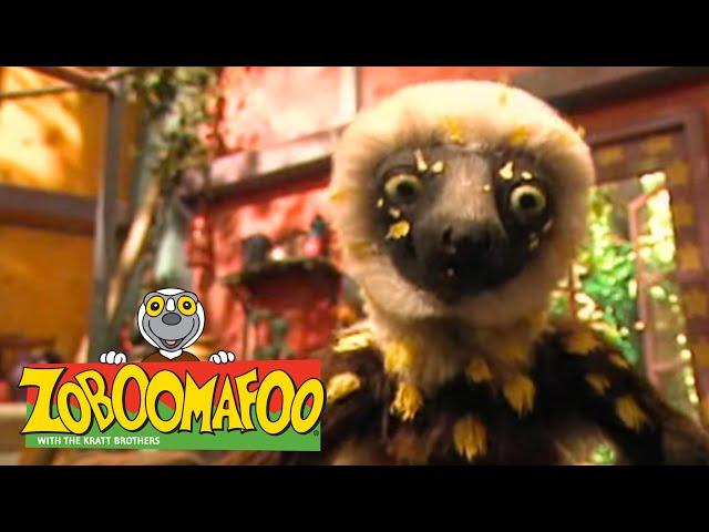 Zoboomafoo 127 - Fast and Slow (Full Episode)