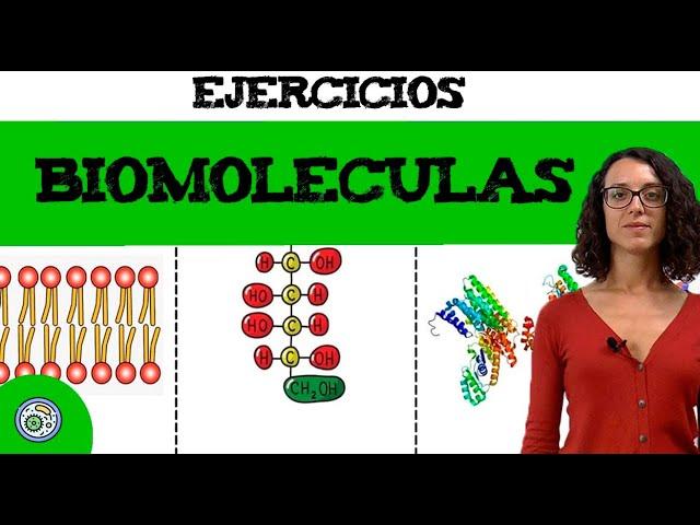 Biomoléculas (2)  ejercicio resuelto EBAU, EvAU/PAU