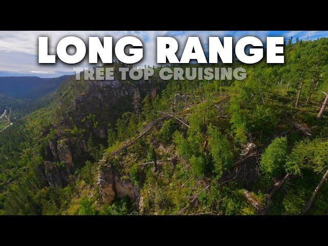 Long-Range FPV | tree top cruising