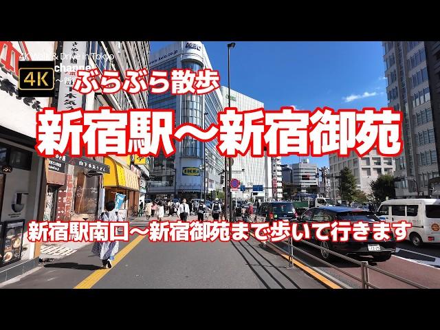 4K【新宿駅～新宿御苑】ぶらぶら散歩【新宿駅南口～新宿御苑まで歩いて行きます】【旧皇室苑地の歴史ある庭園へ】【菊花壇展】【Shinjuku Gyoen】#4Kぶらぶら散歩