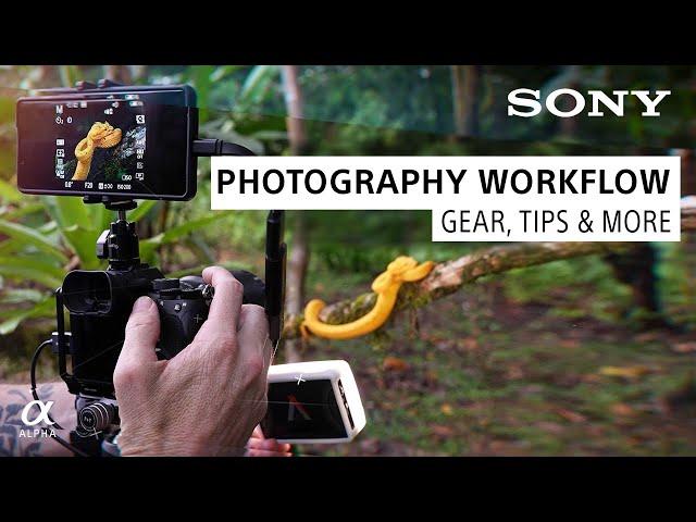 Photography Workflow Tips From a Pro Ft. Colby Brown | Sony Alpha Universe