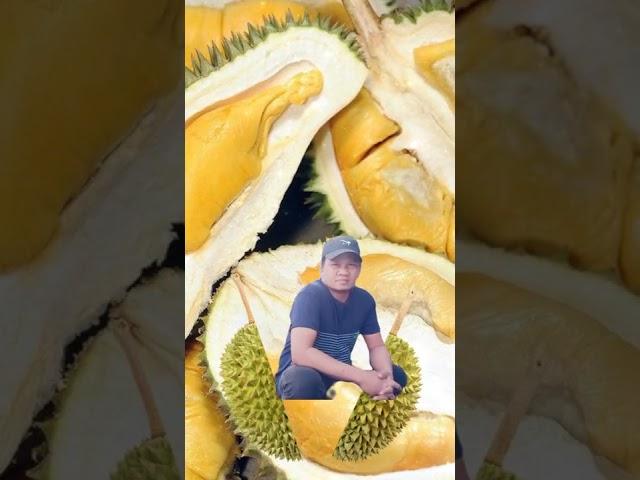 Whats up #Catching durian #Shorts#Viral today