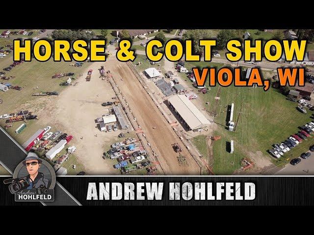 Horse & Colt Show 2017 (Viola, WI)