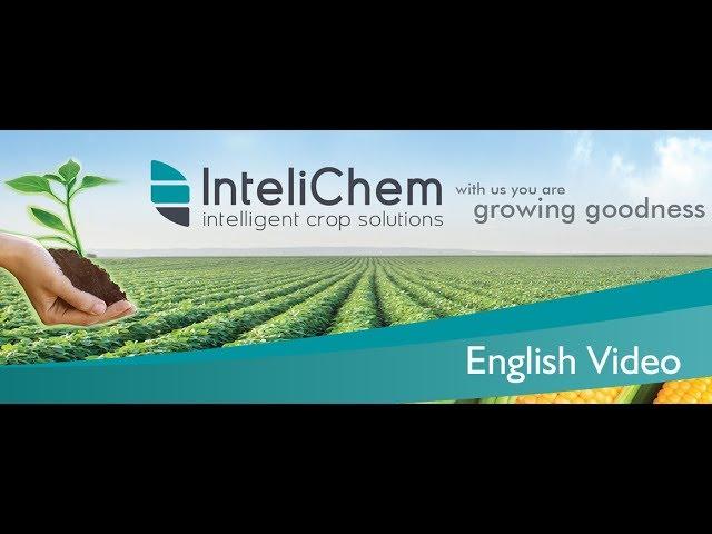 InteliChem Corporate English Short
