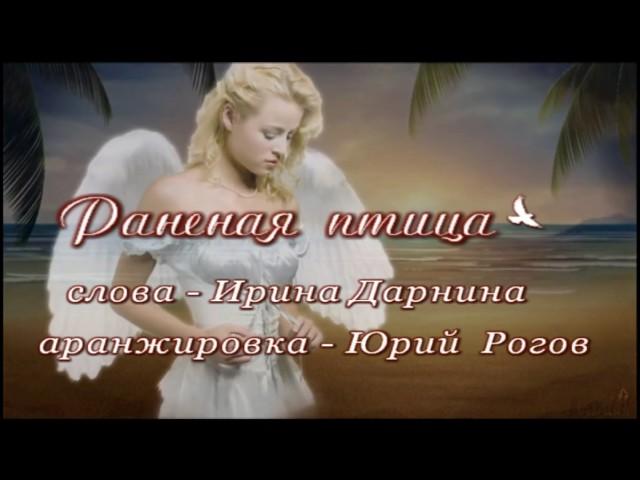 #альбомптица #алексейшевырин Раненая птица. Муз.исполн. Алексей Шевырин, сл. Ирина Дарнина.