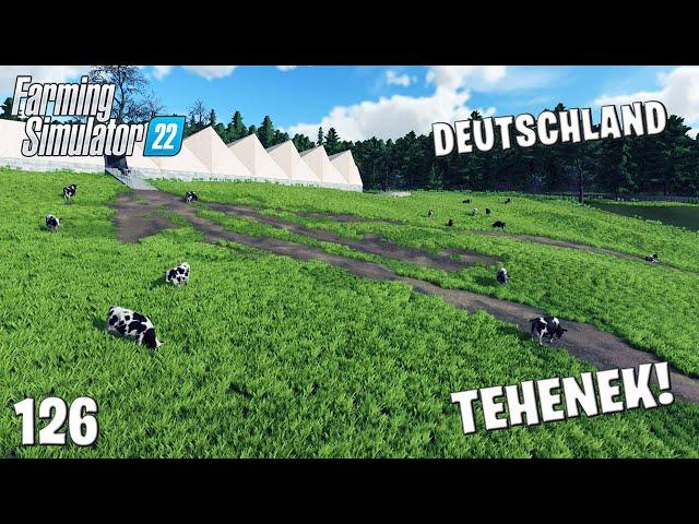 Farming Simulator 22 LIVE #126 - Itt vannak a TEHENEK! Deutschland #17