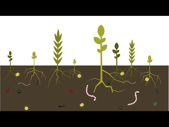 Best4Soil: Soil health – Practical Information