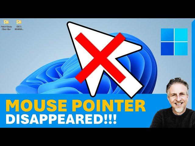 My Mouse Cursor / Pointer Disappeared in Windows 10 or 11 | Shortcut Keys to Reinstate Mouse