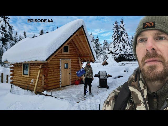 Log Cabin Build on Off-Grid Homestead |EP44| Sawmill Barn, Sauna, Cabin Addition with @cabinspeak