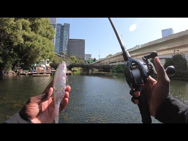 Fishing In The Middle Of Tokyo Japan!