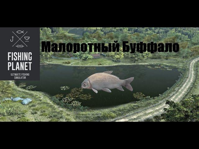 Как поймать Малоротного Буффало| Fishing Planet| Гигант озера Лоун Стар!