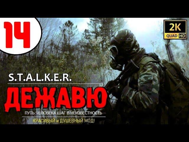 S.T.A.L.K.E.R. ДЕЖАВЮ  #14 ОЧЕНЬ ЗЛОЙ СТРЕЛОК и ВСЕ ТАЙНЫ ПРИПЯТИ!