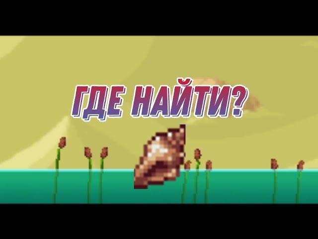 Где найти Волшебную ракушку в Terraria 1.4?