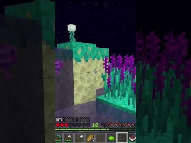 карта end update 2.0 #minecraft #shorts #Besm-Pie #Besm-Pie #Besm_Pie #BesMC #InkBesm