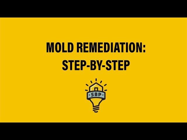 SBP: Step-by-Step Mold Remediation Guide