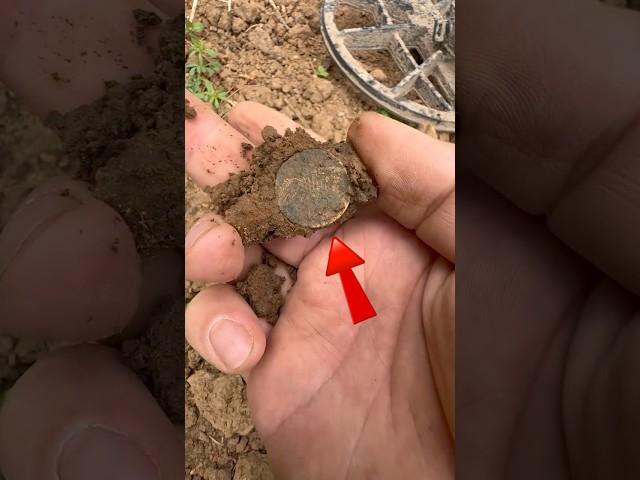 Поиск КЛАДА! #shortvideo #metaldetecting #золото #коп #coin #клад #Находка #поиск #сокровище #short