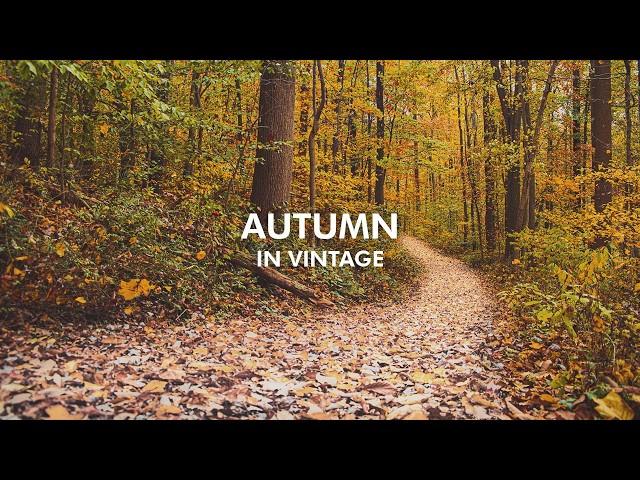 One Week of Relaxing Autumn Landscape Photography | Vintage Lenses