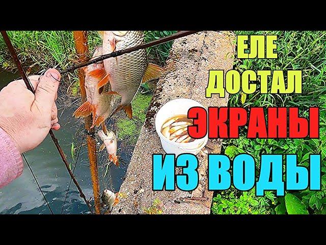 УДАЧНАЯ РЫБАЛКА НА ЭКРАНЫ!!! Наловил кучу рыбы!