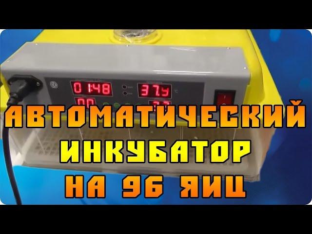 Автоматический инкубатор на 96 куриных яиц (Китай)