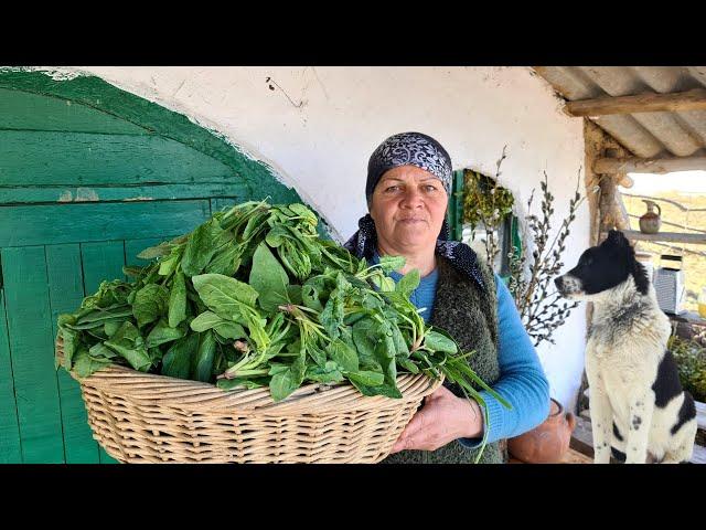 Traditional Turkish Borek With Cheese and Spinach