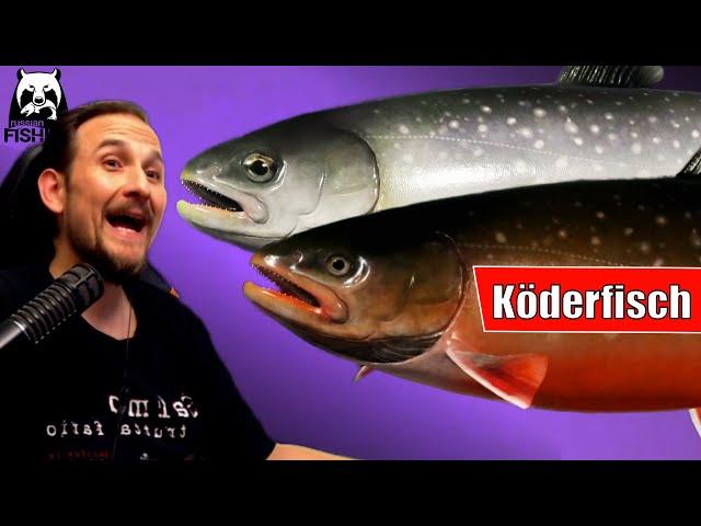 Russian Fishing 4 - Ladogasee - Klotzsaibling, Saibling auf Köderfisch