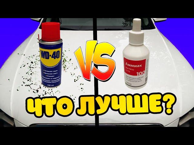 Чем очистить тополиные почки с машины /  Отмыть смолу на кузове авто / WD 40 против Аммиак раствор