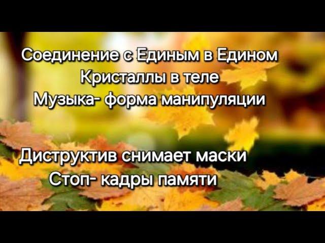 Работники Света и выбор. Октябрь. Расправляют крылья. Страхи на ускорение. / Die Zeit ist gekommen.