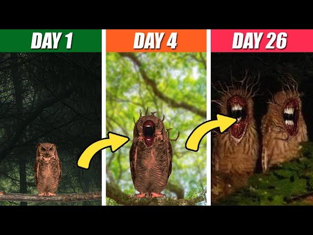 Unnatural Habitat Owl's Life | SPORE