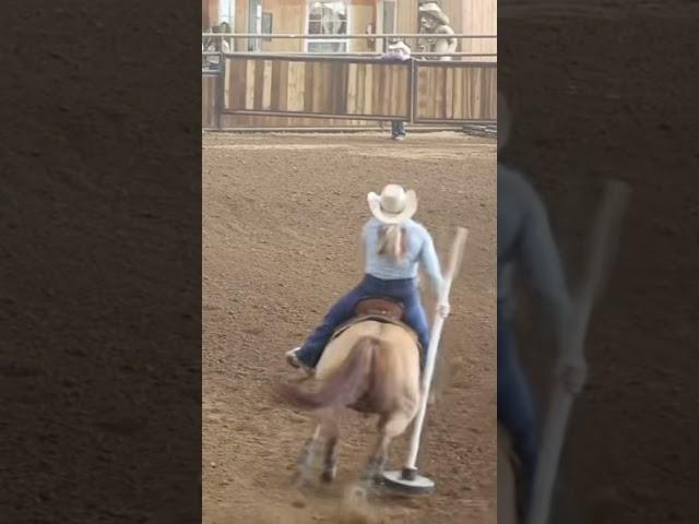 this was actually sucha good save #horse #4urpage #horseenthusiast #rodeo #blowup #poledance #viral￼