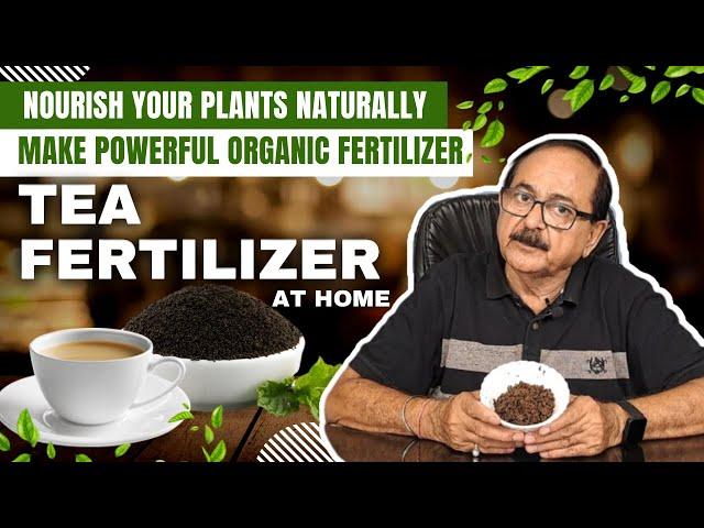 चाय के पत्ते से पौधों को पोषित करें I Supercharge Your Garden with Homemade Tea Leaf Fertilizer