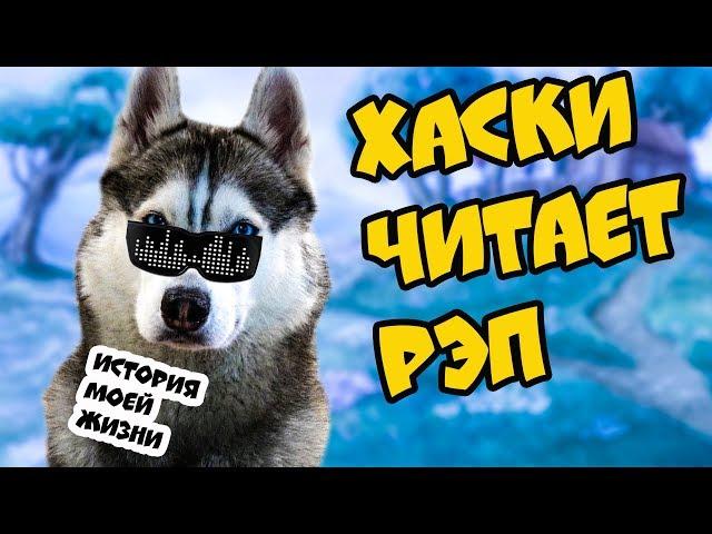  ХАСКИ ЧИТАЕТ РЭП! История моей Бандитской жизни. Говорящая собака