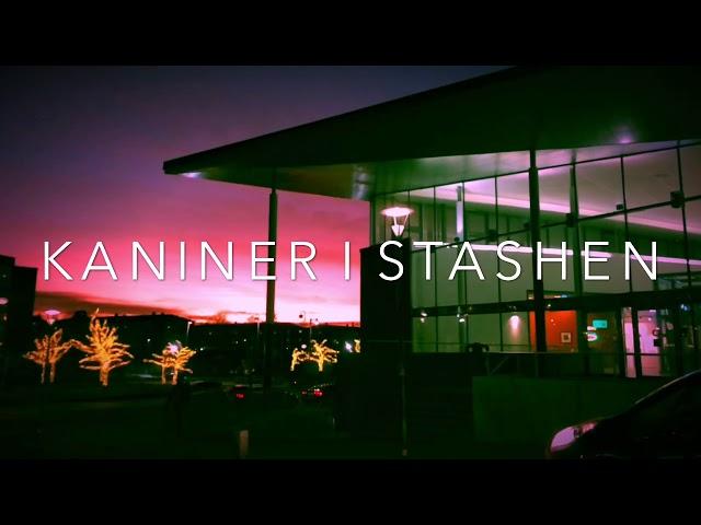 Kaniner I Stashen - Yung Dagger & Max Persson (OFFICIELL MUSIKVIDEO)