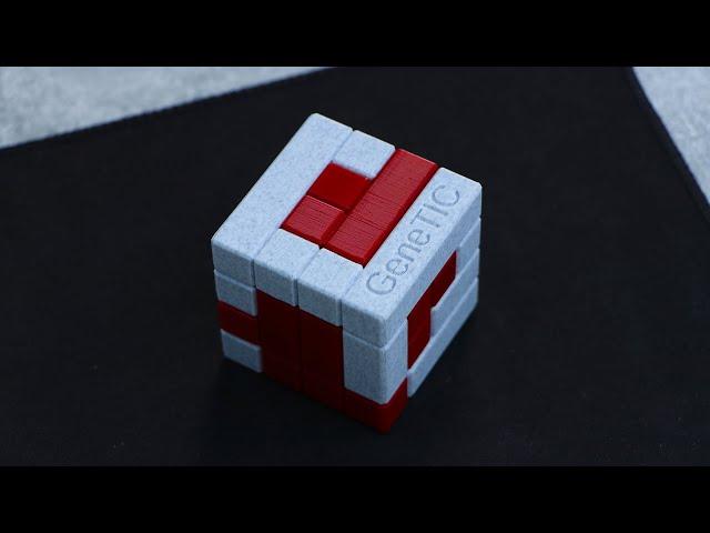 GeneTIC Cube Puzzle