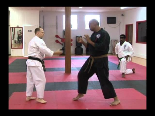 Troy J. Price Martial Arts Action Clips #2 Shurite Bujutsu-Kai Workshop Series June-2011 .mp4