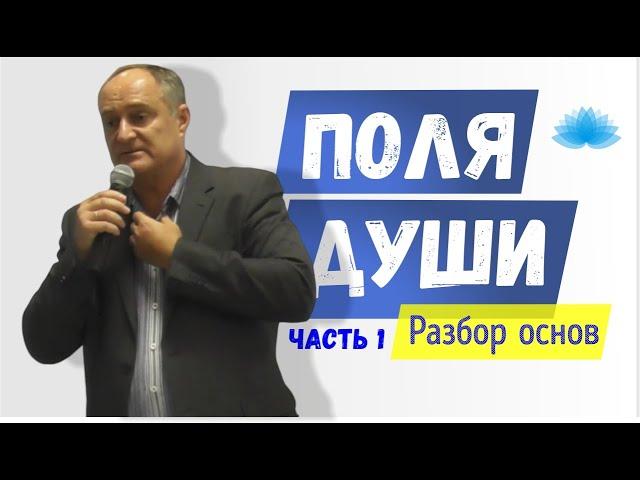 Софоос. Лекция в Санкт-Петербурге от 26.10.19 "Поля Души. Часть 1. Разбор основ Мироздания".