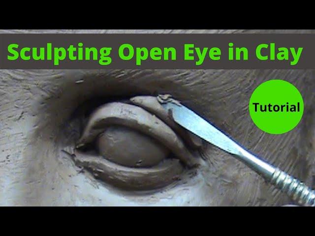 Sculpting open eye in a water based clay. Visual tutorial