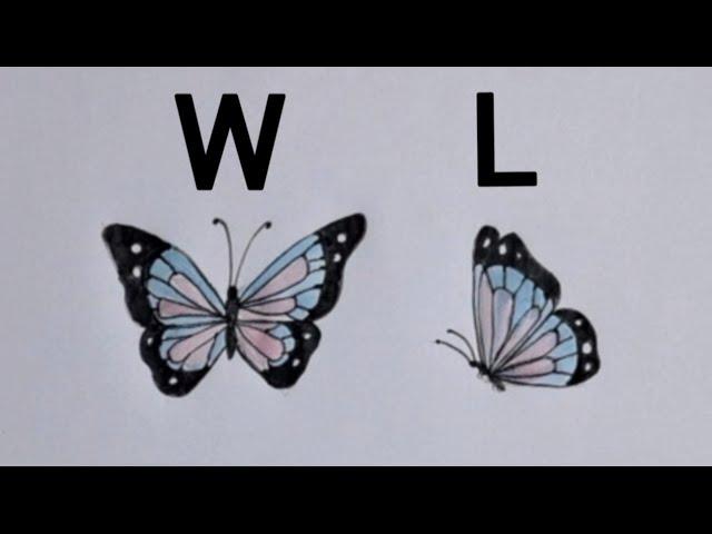 How to draw butterfly  easily/ # butterfly drawing  from W and L#butterfly in two angles