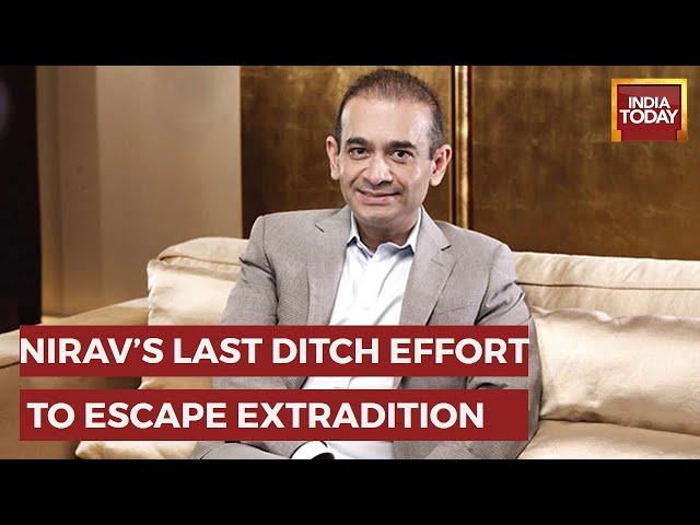 Nirav Modi Seeks Political Assylum Day After UK High Court Orders His Extradition To India| PNB Scam