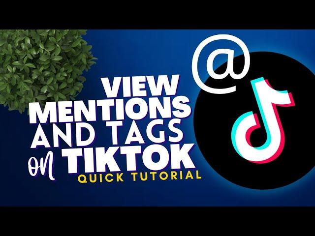 How to view your Mentions and Tags on Tiktok