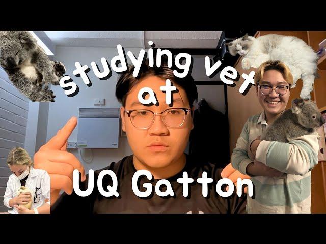 Studying Veterinary Science at UQ Gatton