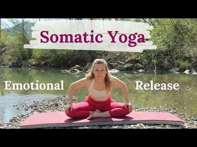 20 Minute Morning Somatic Yoga for Beginners | Let Go Of All That No Longer Serves You