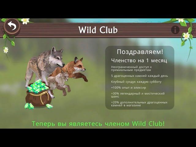 ПОДПИСАЛАСЬ НА WILD CLUB! КАЙФ!