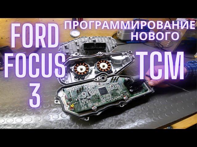 FORD Focus 3 DPS250 программирование нового TCM