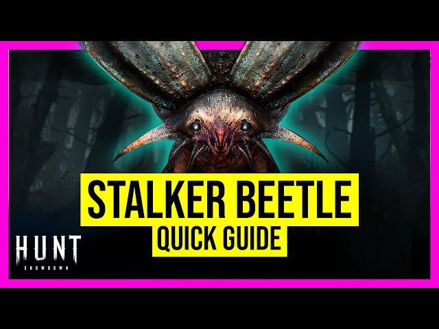 STALKER BEETLE explained - [Hunt: Showdown]