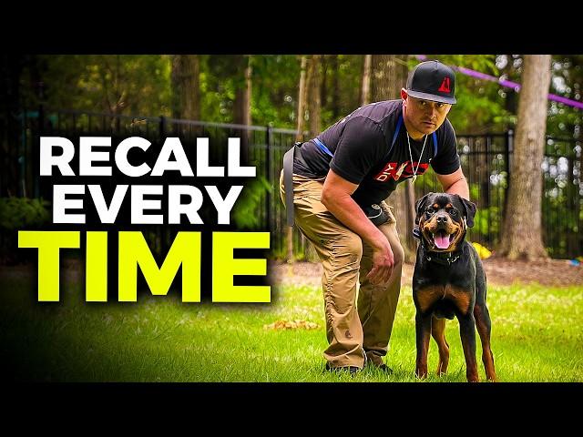 Teach Your Dog to COME to you EVERYTIME! Perfect Recall Training