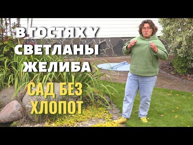 В гостях у Светланы Желиба. Сад без хлопот или сад минимального ухода.