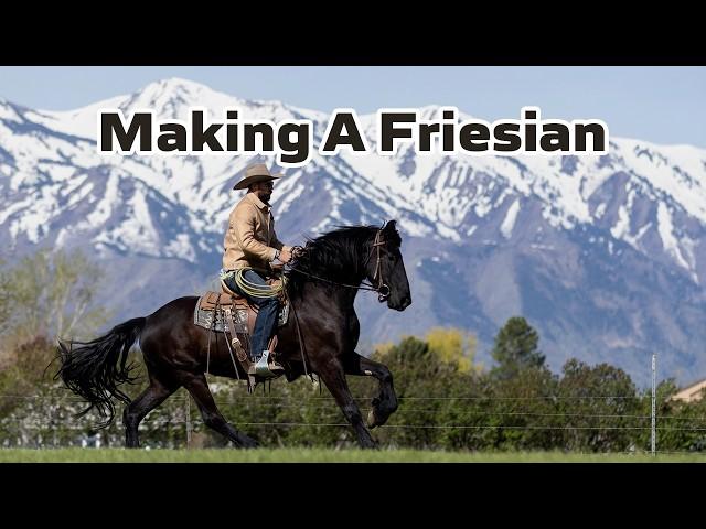 Making a Horse | 3 Year Old Friesian Mare Edition